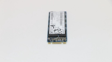 Kietasis diskas (SSD) Lenovo 00UP736, M.2, 1 TB