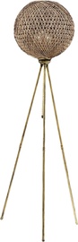 Stāvlampa Opviq, stāvlampa, 60 W