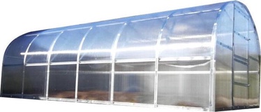 Siltumnīca Baltic LT, polikarbonāts, 8 x 3 m