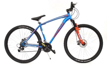 Jalgratas Girardengo MTB Man, meeste, sinine/punane, 29" (kahjustatud pakend)/01