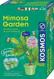 Augu audzēšanas komplekts Kosmos Mimosa Garden 1KS616809, daudzkrāsaina