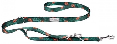 Siksna Amiplay Be Happy 7in1 Jungle, zaļa, 1 - 2 m