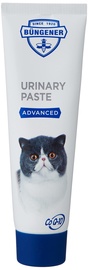 Пищевые добавки, витамины для кошек Pasta Urinary, 0.1 кг