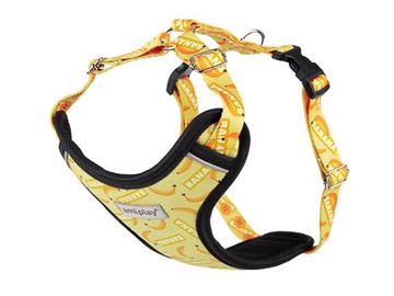Reguleeritavad traksid Amiplay Discovery BeHappy, kollane, 350 - 500 mm x 20 mm, M