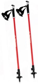 Палки для скандинавской ходьбы Fjord Nansen Nordic Pro II, 1470 мм