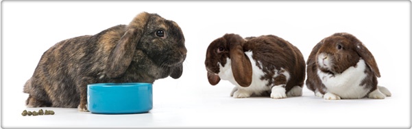 Корм для грызунов Trovet Rabbit RHF, для кроликов, 5 кг