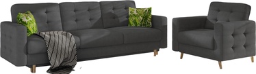 Комплект мебели Asgard 3F/1F, комнатные, серый