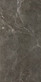Плитка, каменная масса Ceramika Paradyz Ibis 5904584154317, 600 мм x 300 мм