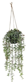 Mākslīgais augs podiņā, eikalipts Splendid Eukaliptus, zaļa, 45 cm