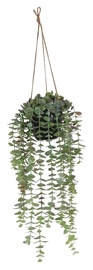 Kunsttaim potis, eukalüpt Splendid Eukaliptus, roheline, 450 mm