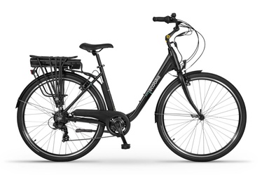 Электрический велосипед Ecobike Basic Greenway, 19", 28″, 250 Вт, 8.7 Ач, черный
