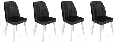 Valgomojo kėdė Kalune Design Alfa 497 974NMB1573, matinė, balta/antracito, 49 cm x 50 cm x 90 cm, 4 vnt.