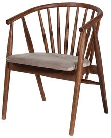 Ēdamistabas krēsls Kalune Design Albero 48 117FRF1148, matēts, bēša/valriekstu, 47 cm x 55 cm x 77 cm
