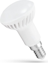 Spuldze Spectrum LED, R50, silti balta, E14, 6 W, 430 lm
