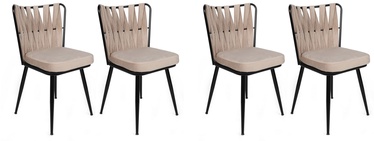 Стул для столовой Kalune Design Kubakly 221 V4 974NMB1606, черный/кремовый, 43 см x 43 см x 82 см, 4 шт.