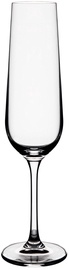 Šampuseklaaside komplekt Homla Brilliant 952511, klaas, 0.2 l, 4 tk