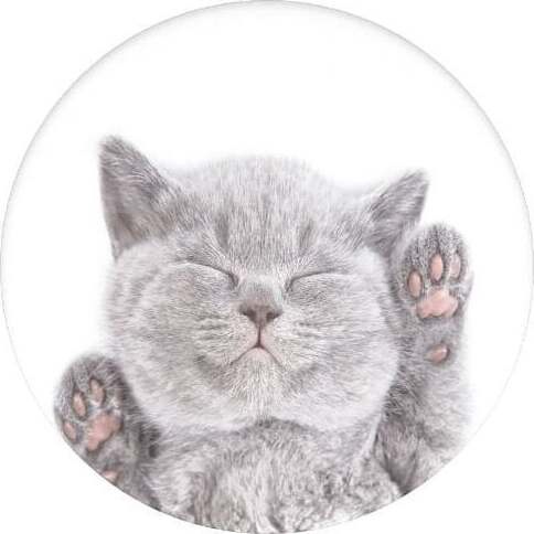 Попсокет PopSockets Cat Nap Gen 2 ME-PS-A129, белый/серый, 3.5 - 6.5 ″