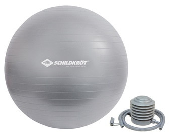 Гимнастический мяч Schildkrot Fitness Gymnastic Ball 960155, серебристый, 550 мм