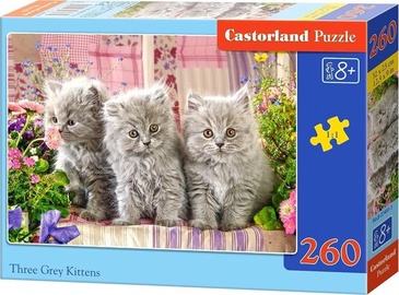 Puzle Castorland Three Grey Kittens 27491, 23 cm x 32 cm