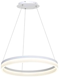 Valgust rippuv Milagro Ring ML405, 24 W, LED
