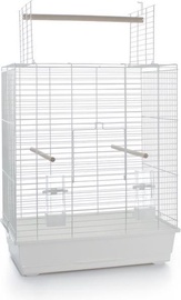 Putnubūris Beeztees Big Ara Open, 54 cm x 34 cm x 68 cm