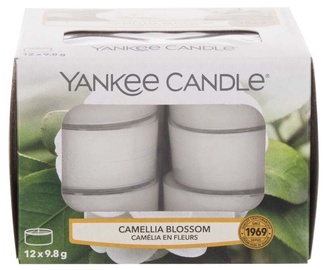 Svece tējas sveces Yankee Candle Camellia Blossom, 4 - 6 h, 117.6 g, 12 gab.