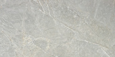 Плитка, каменная масса Stn Ceramica Syrah 8434459299098, 120 см x 59.5 см, серый