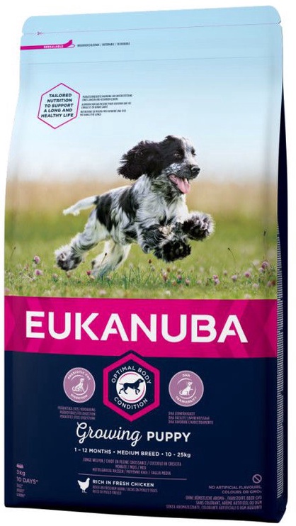 Sausā suņu barība Eukanuba Puppy&Junior 145983, vistas gaļa, 2 kg