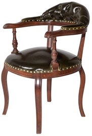 Ēdamistabas krēsls Kalune Design Albero 39 117FRF1139, matēts, valriekstu/tumši zaļa, 50 cm x 52 cm x 80 cm