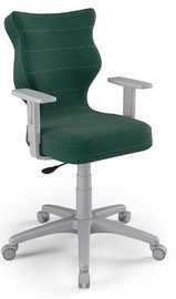 Bērnu krēsls Entelo Duo VT05 Size 6, zaļa/pelēka, 640 mm x 895 - 1025 mm