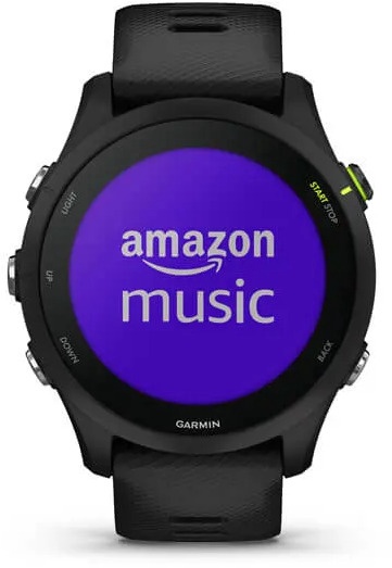 Умные часы Garmin Forerunner® 255 Music GPS 46mm, черный