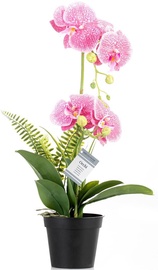 Искусственные цветы в вазоне, oрхидея AmeliaHome Orchi Powder Pink, черный/зеленый/розовый, 55 см
