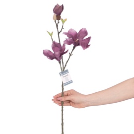 Kunstlill, magnoolia AmeliaHome Mangoli Plum, roheline/violetne, 690 mm