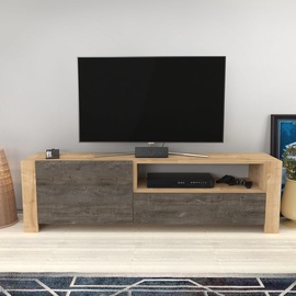 TV-laud Kalune Design Piedmont, hele pruun/tumepruun, 36.8 cm x 46 cm x 160 cm