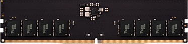 Operatyvioji atmintis (RAM) Team Group Elite, DDR5, 16 GB, 5600 MHz