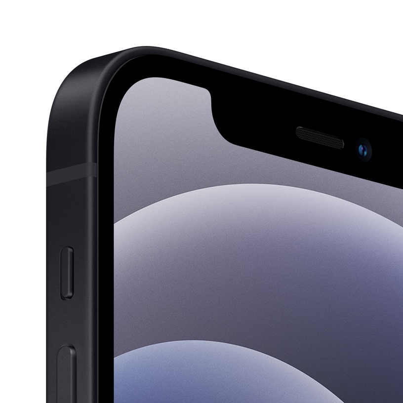Мобильный телефон Apple iPhone 12 64GB Black