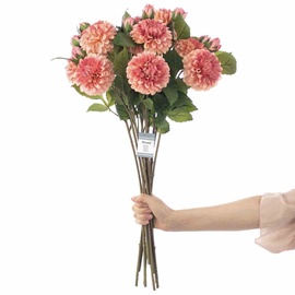 Mākslīgie ziedi, dālijas AmeliaHome Piwoni, zaļa/rozā, 62 cm