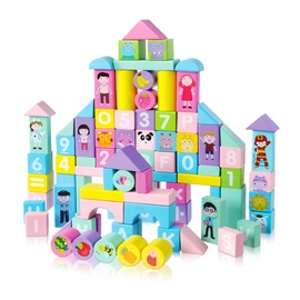 Klotsid EcoToys Wooden Blocks, 100 tk