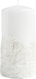 Svece cilindriskas Mondex Monstera New, 160 x 80 mm