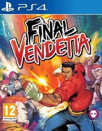 PlayStation 4 (PS4) mäng Numskull Final Vendetta