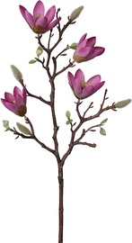 Kunstlill, magnoolia Splendid Magnolia, violetne, 590 mm