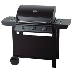 Gaasigrill Master Grill & Party MG665, 125 cm x 51 cm