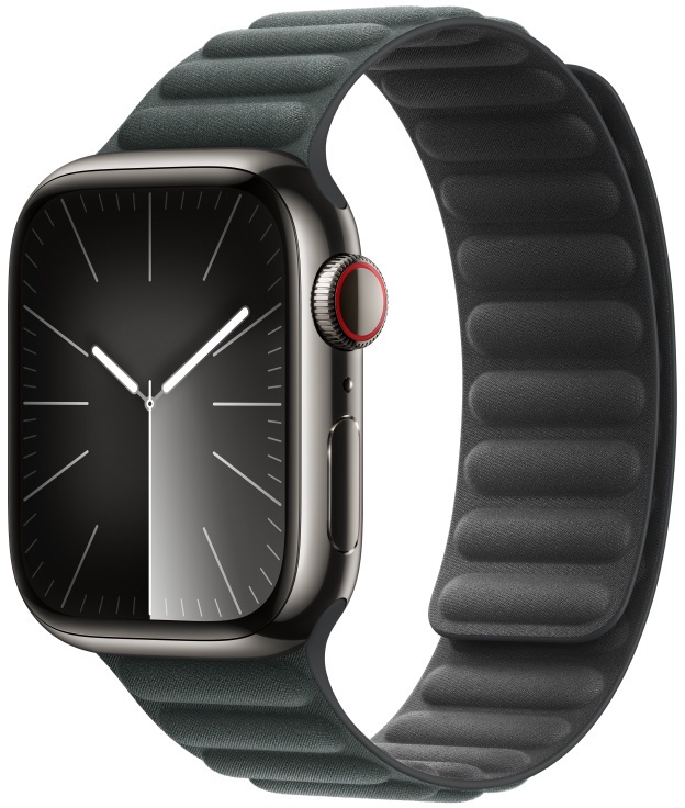Ремешок Apple Watch 41mm Evergreen Magnetic Link - M/L, зеленый