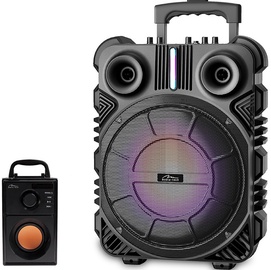 Bezvadu skaļrunis Media-Tech MT3169, melna, 1200 W