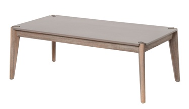 Kafijas galdiņš Miloo Javi, pelēka, 120 cm x 60 cm x 40 cm
