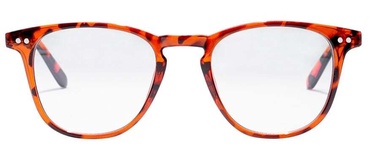 Brilles ikdienas Northweek Wall Tortoise