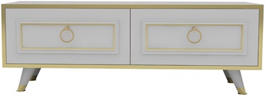 TV-laud Kalune Design Sona, kuldne/must, 296 mm x 1200 mm x 450 mm