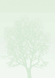 Papīrs Galeria Papieru Tree, A4, 100 g/m², zaļa