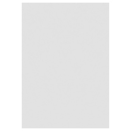 Paklājs iekštelpu Sky 2403405400, krēmkrāsa, 340 cm x 240 cm