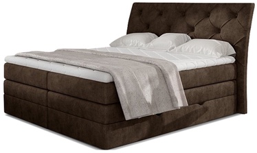 Кровать двухместная континентальная Mirabel Dora 28, 140 x 200 cm, коричневый, с матрасом